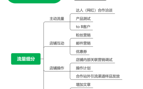 独立站运营33——不断在营销中深耕流量