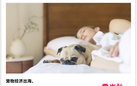 在北美，狗比人还“卷”？