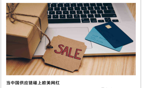 出海欧美，中国电商玩转“网红经济”