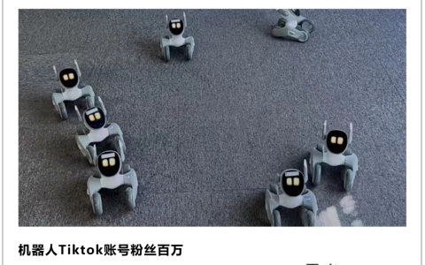 中国机器人出海，成功的秘诀是什么？