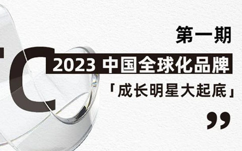 2023 中国全球化品牌「成长明星大起底」之 Bloomchic