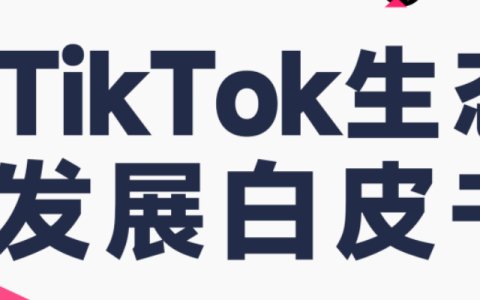 2023年上半年度TikTok行业白皮书电子版
