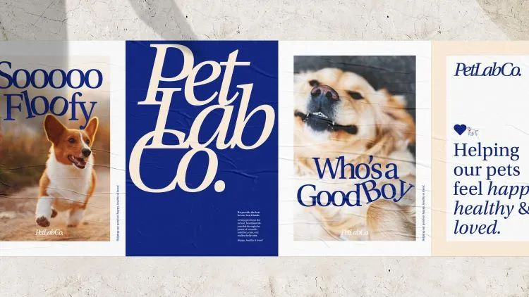 以PetLab Co.为例，探究宠物DTC品牌如何通过品牌思维赢得同品类最佳？