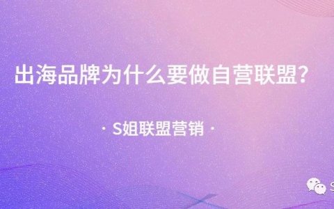 出海品牌为什么要做自营联盟？