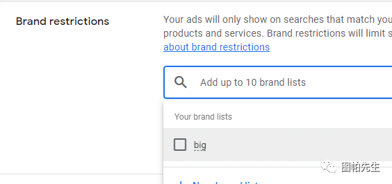 如何在谷歌pmax广告单独排除品牌词？