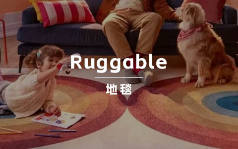 小品类撬动百亿市场，靠地毯做极致单品的 Ruggable 如何做营销增长？