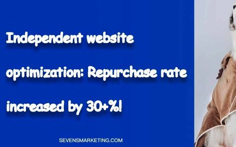 案例｜独立站优化：数字赋能品牌力，复购率提升30+%！