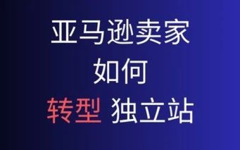 转型独立站系列 | 亚马逊卖家如何突围？