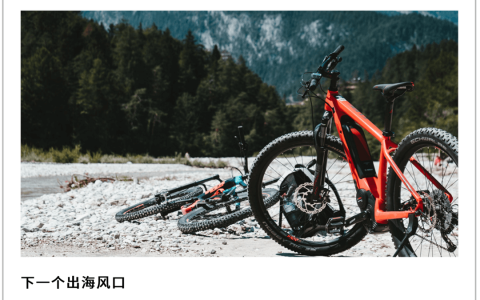 E-bike出海，大疆都看好的新能源产业