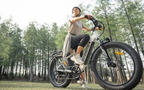 油价仍成为澳大利亚 ebike 市场增长的重要因素