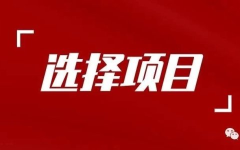 独立站漫谈 | 如何选择项目/公司-操盘手运营视角