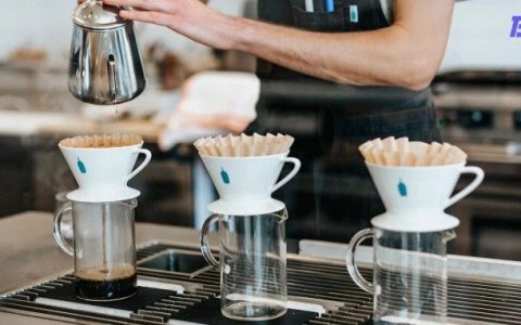 「咖啡界Apple」蓝瓶咖啡入驻TikTok美国，30天GMV近70万美金，TikTok将成为咖啡品牌出海新阵地