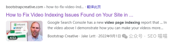 谷歌是否还会索引网站的视频页面？