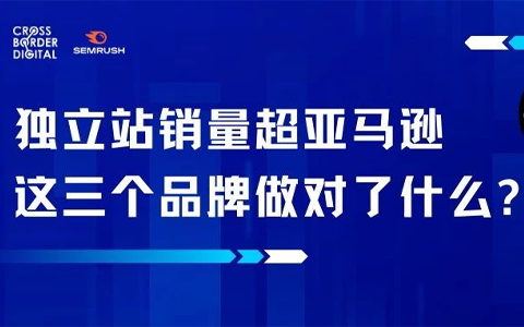 独立站销量超亚马逊，这三个品牌做对了什么?