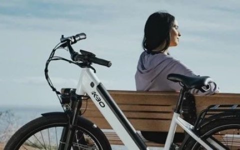 全球主要市场Ebike的用户画像分析