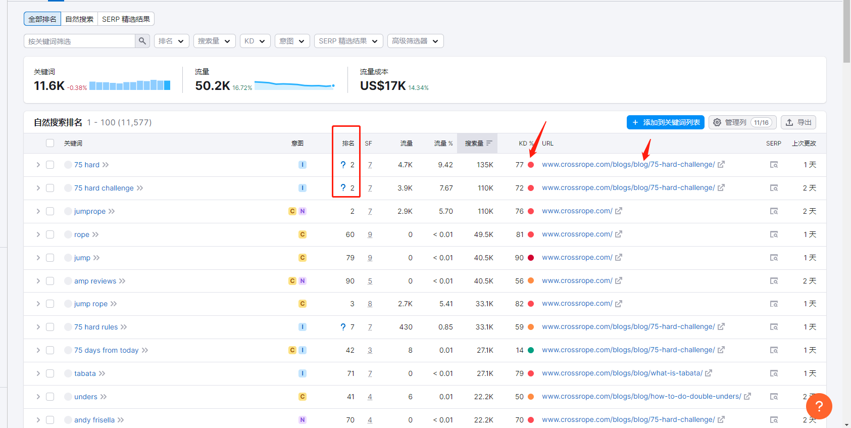 怎么用好SEMrush？一篇文章带你搞懂