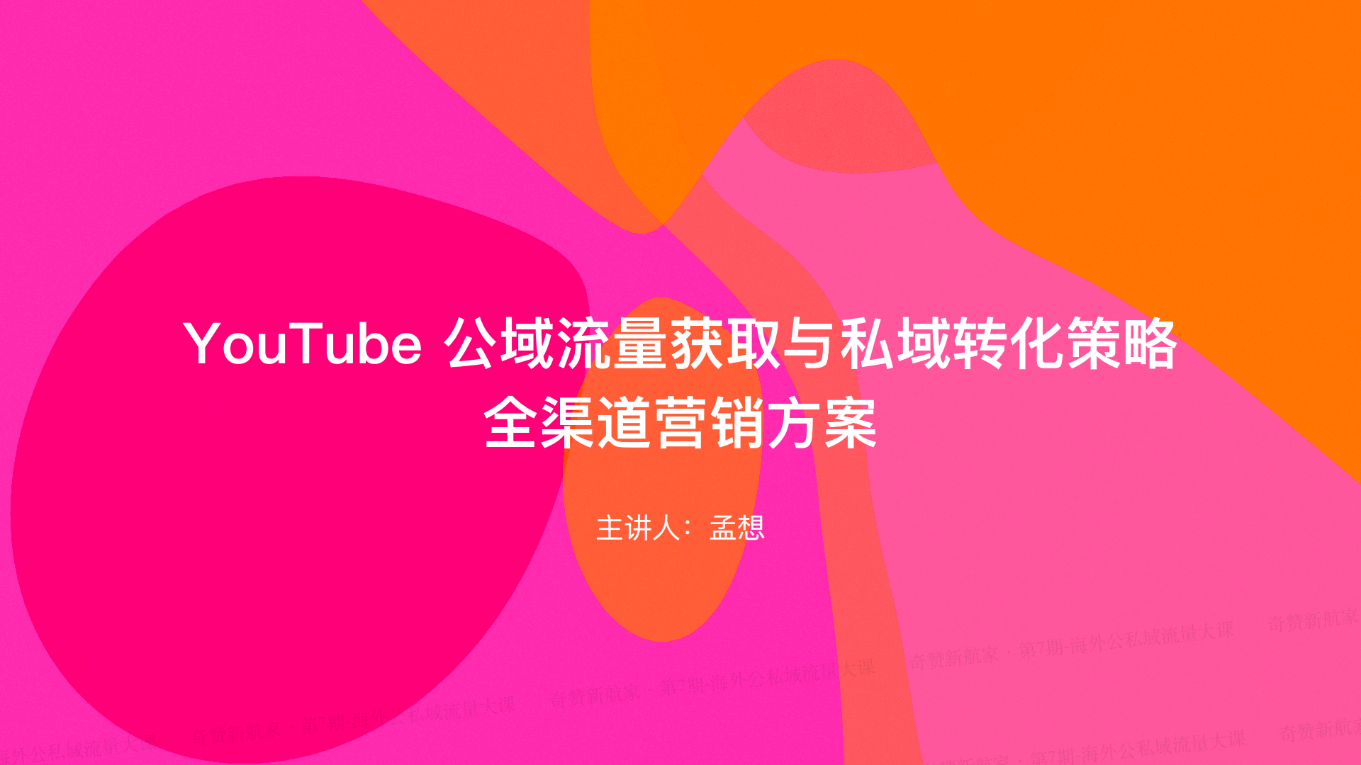 YouTube 公域流量获取与私域转化策略：全渠道营销方案