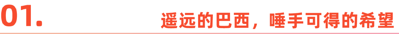 在巴西赚了5个亿，他们只想闷声发大财