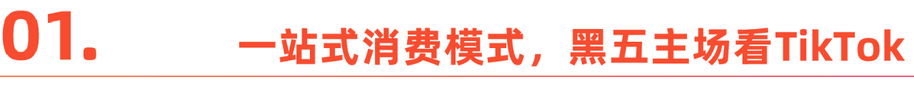 2024黑五大促冲刺，商家如何抓住“爱看、爱买、爱发”的TikTok用户？