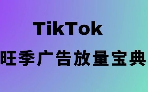 TikTok Ads旺季实战放量宝典