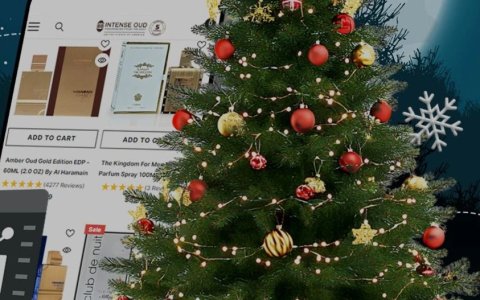 独立站操盘手必读：如何在“黑五网一圣诞”，实现销量和ROI双增长！