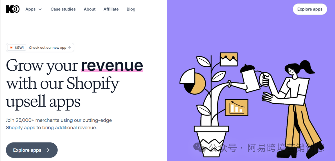 设计师利用 Shopify 逆袭：14 天开发到年入 430 万美金