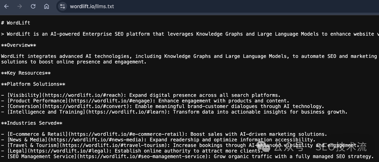 AI  SEO 初步指南[2025年3月版]