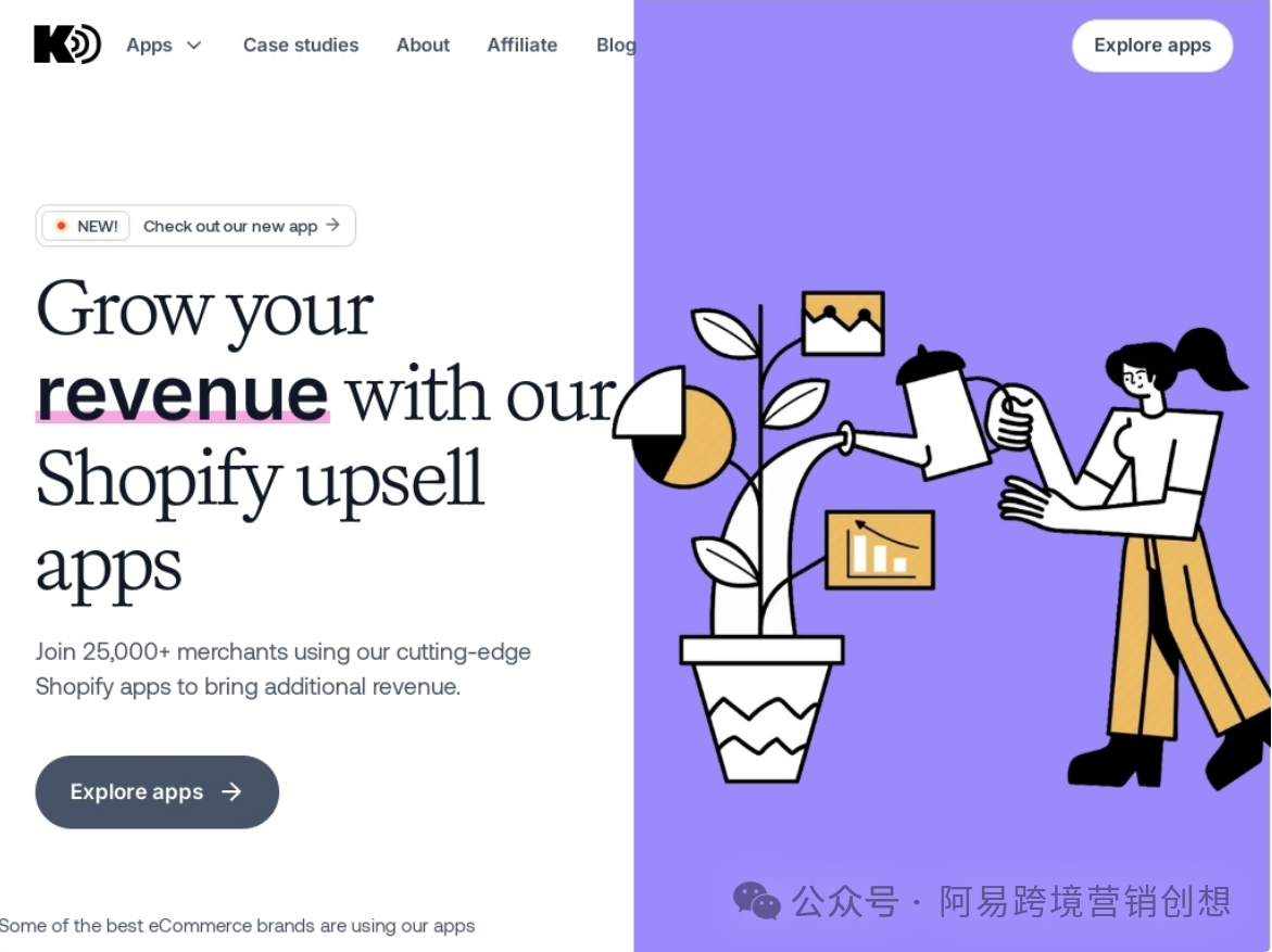 设计师利用 Shopify 逆袭：14 天开发到年入 430 万美金