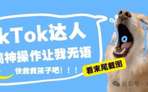 本文末尾的TikTok达人拖稿神操作让我无语