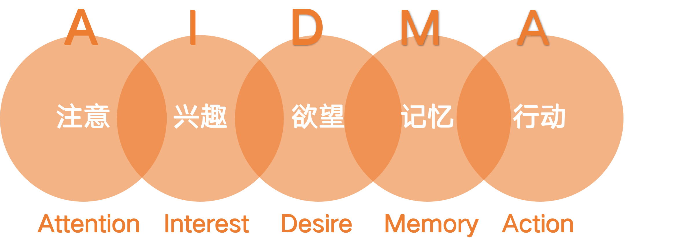 营销从业者必须掌握的消费者决策模型