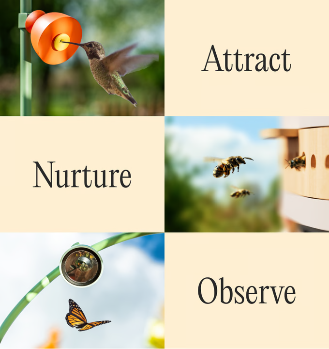 当科技开始「听」见蜜蜂呼吸，这款产品，卖的不是相机而是「自然参与感」？