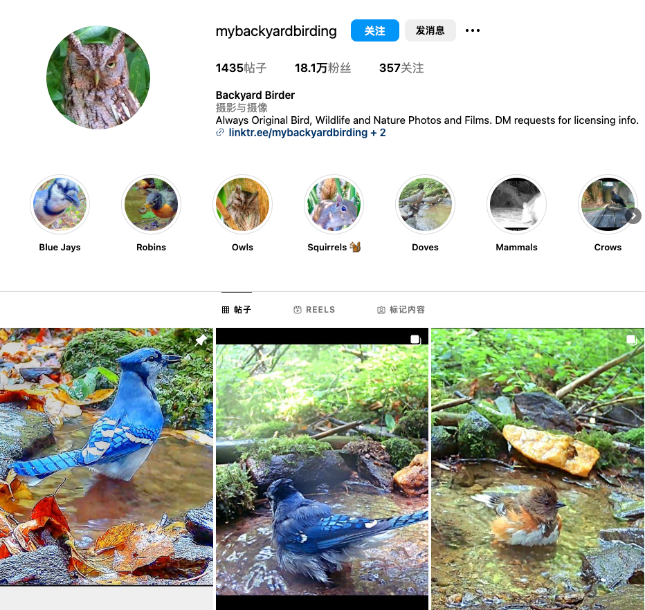 国产鸟窝出海，单价高达199美元也能实现百万月销