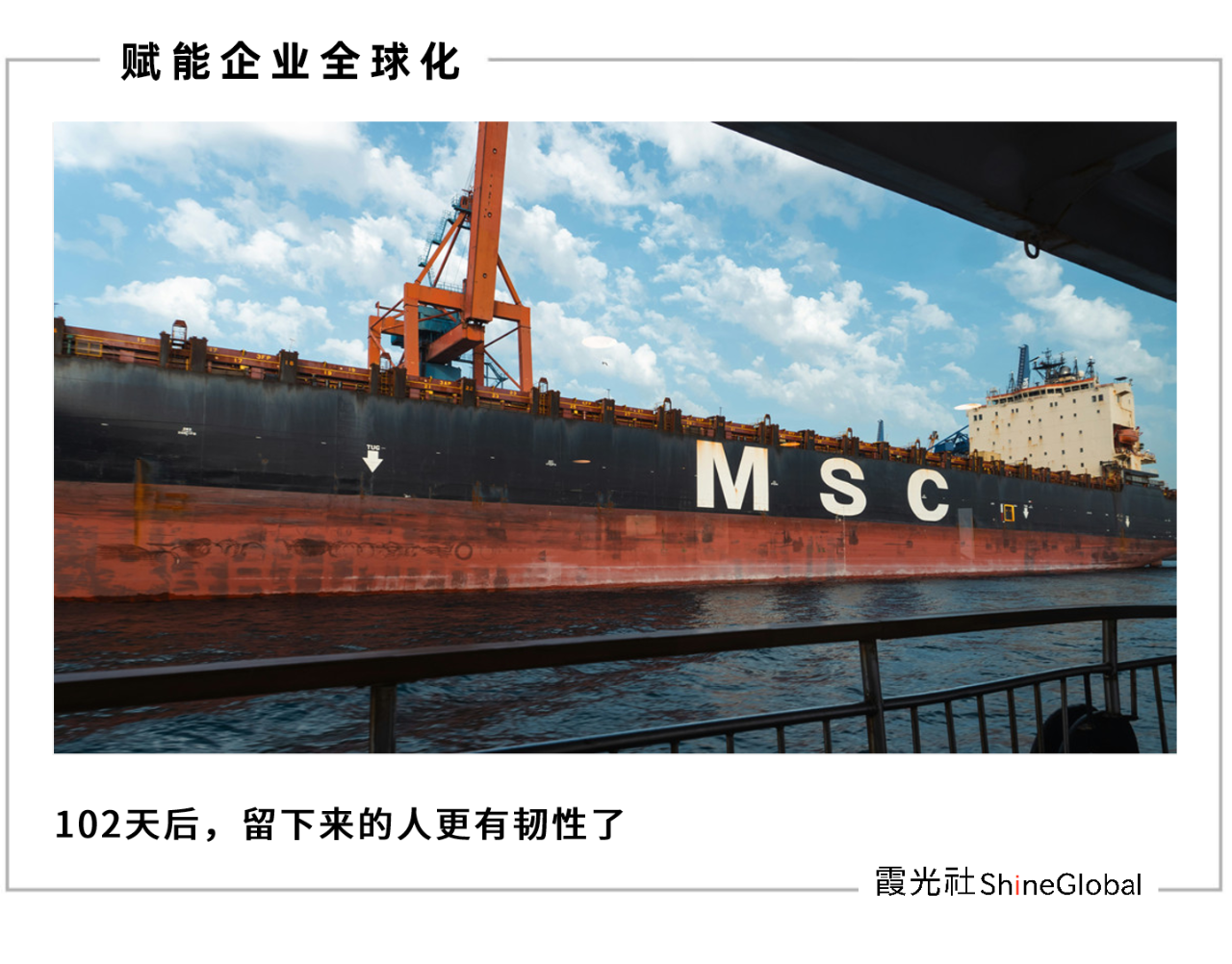 关税变脸 102 天：跨境电商人的至暗与曙光