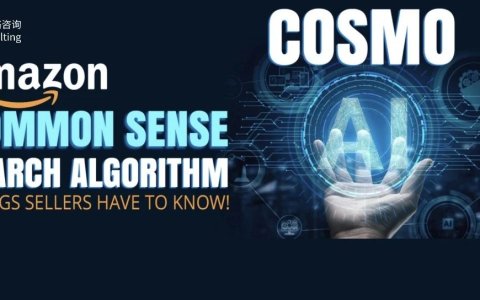 亚马逊cosmo算法下的细分赛道新机遇：5个典型案例解读｜新商业时代的制胜法则
