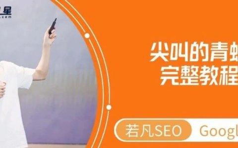 SEO人避坑指南：我的网站用尖叫的青蛙检测竟有199个致命错误