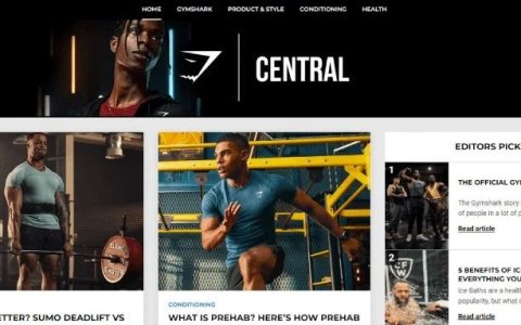 干货丨跨境电商必看！Shopify博客这样玩，8步打造谷歌排名收割机（下）