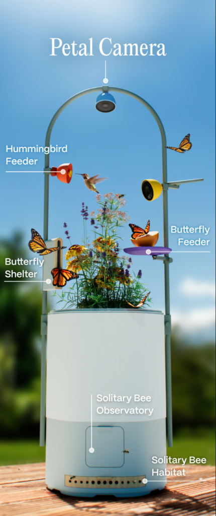 当科技开始「听」见蜜蜂呼吸，这款产品，卖的不是相机而是「自然参与感」？