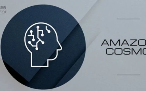 抓住亚马逊Cosmo算法红利：精细化用户洞察与营销策略｜关税战下亚马逊的转变