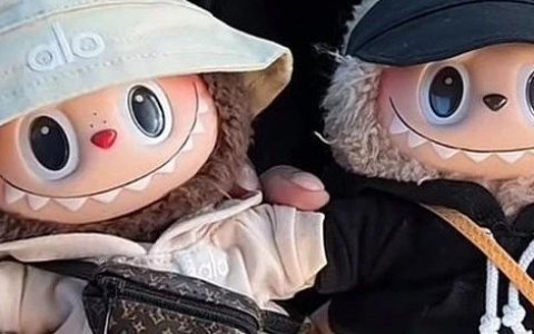 买家评论“和我的labubu完美适配！TikTok娃衣卖家店被封了