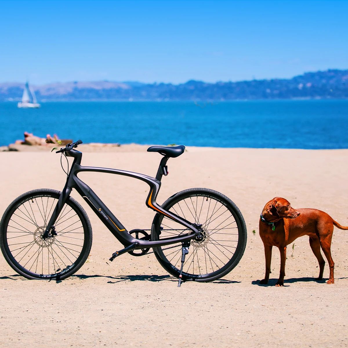 当 E-bike 装上 ChatGPT｜Shine Brand