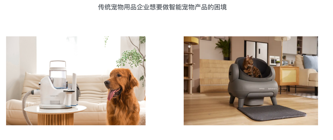 拆解全球TOP宠物品牌：他们做对了什么，我们错过了什么？｜从亿级卖家到百亿企业