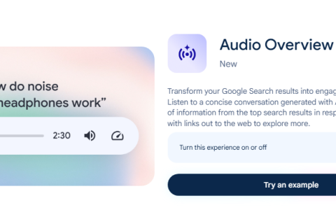 谷歌 Audio Overview 小网站流量的新打击