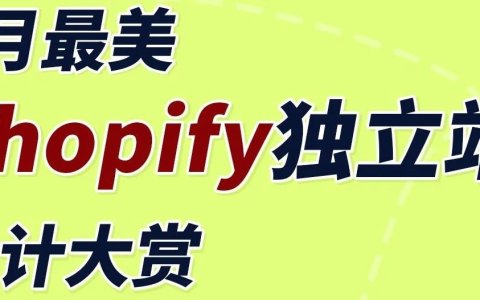 6月Shopify独立站设计赏析——线条框架！