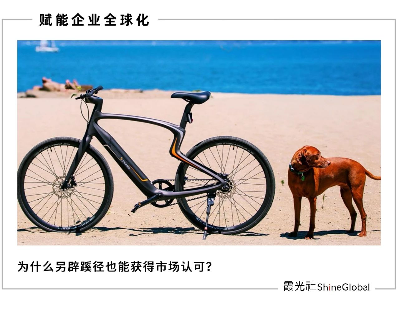 当 E-bike 装上 ChatGPT｜Shine Brand
