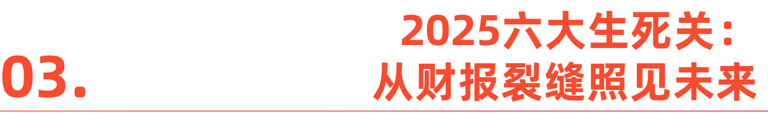 财报里的十大跨境巨头：出海增长的逻辑变了