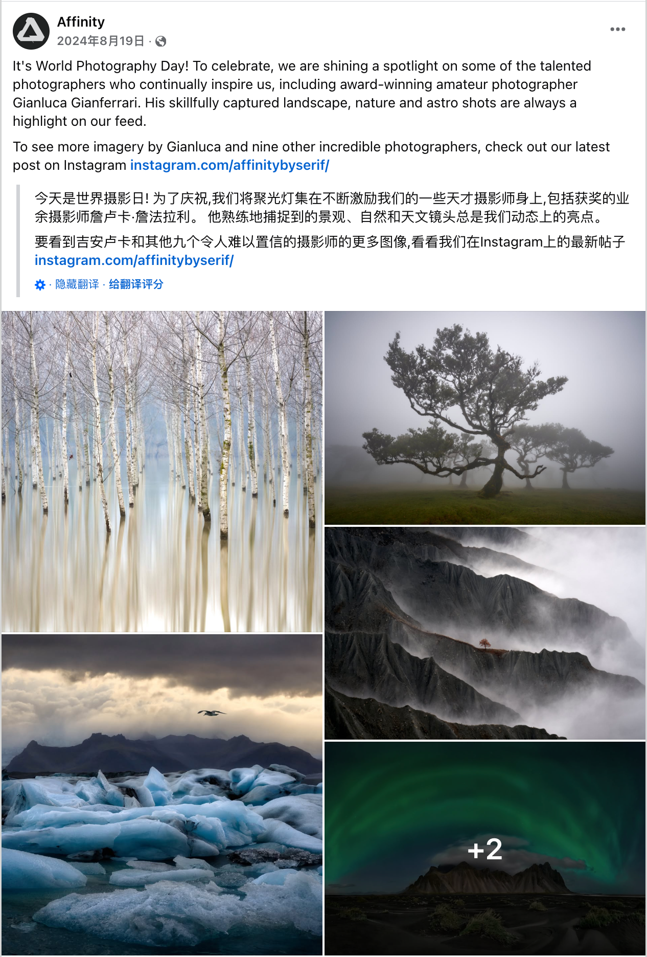 8月海外营销日历：世界摄影日，国际青年日，科隆国际游戏展，国际狗狗日，国际猫咪日，世界运动会...