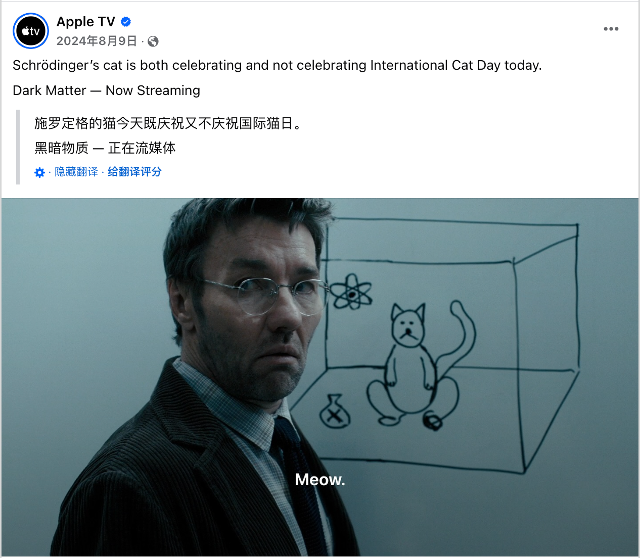8月海外营销日历：世界摄影日，国际青年日，科隆国际游戏展，国际狗狗日，国际猫咪日，世界运动会...