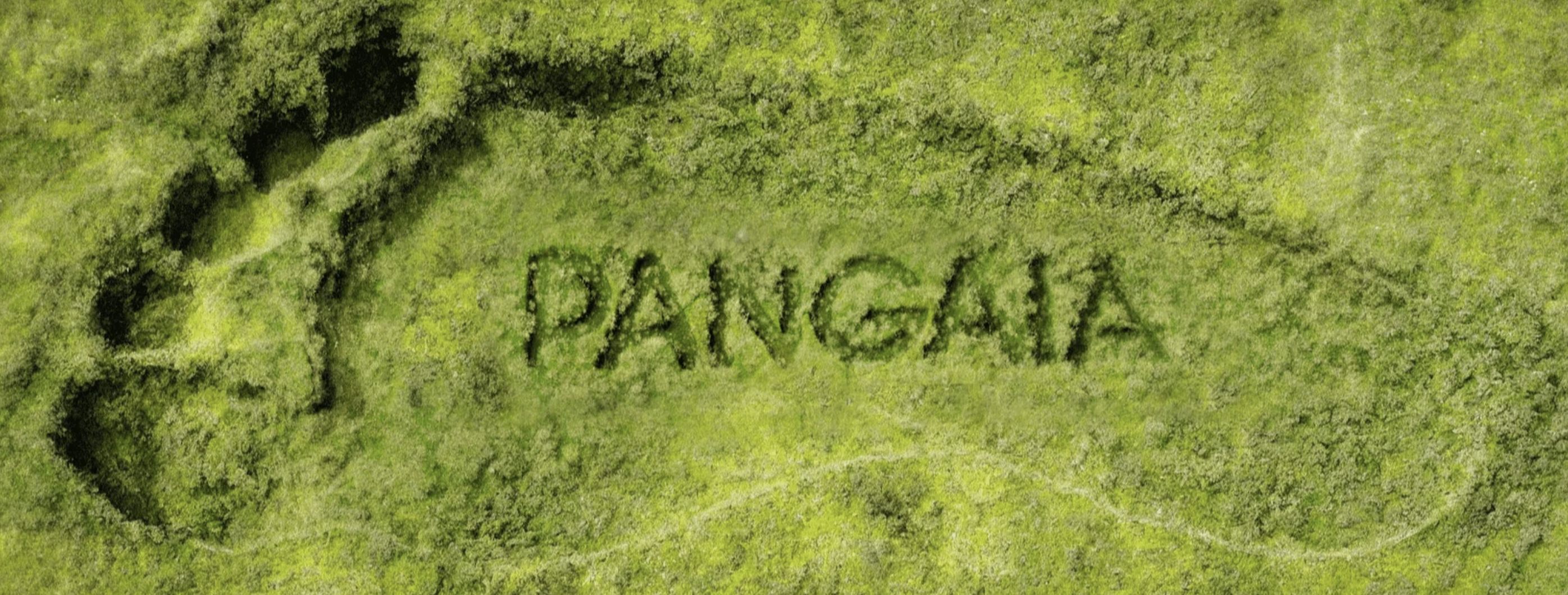 搞懂用户决策前的那几秒：影响转化的5个心理原理