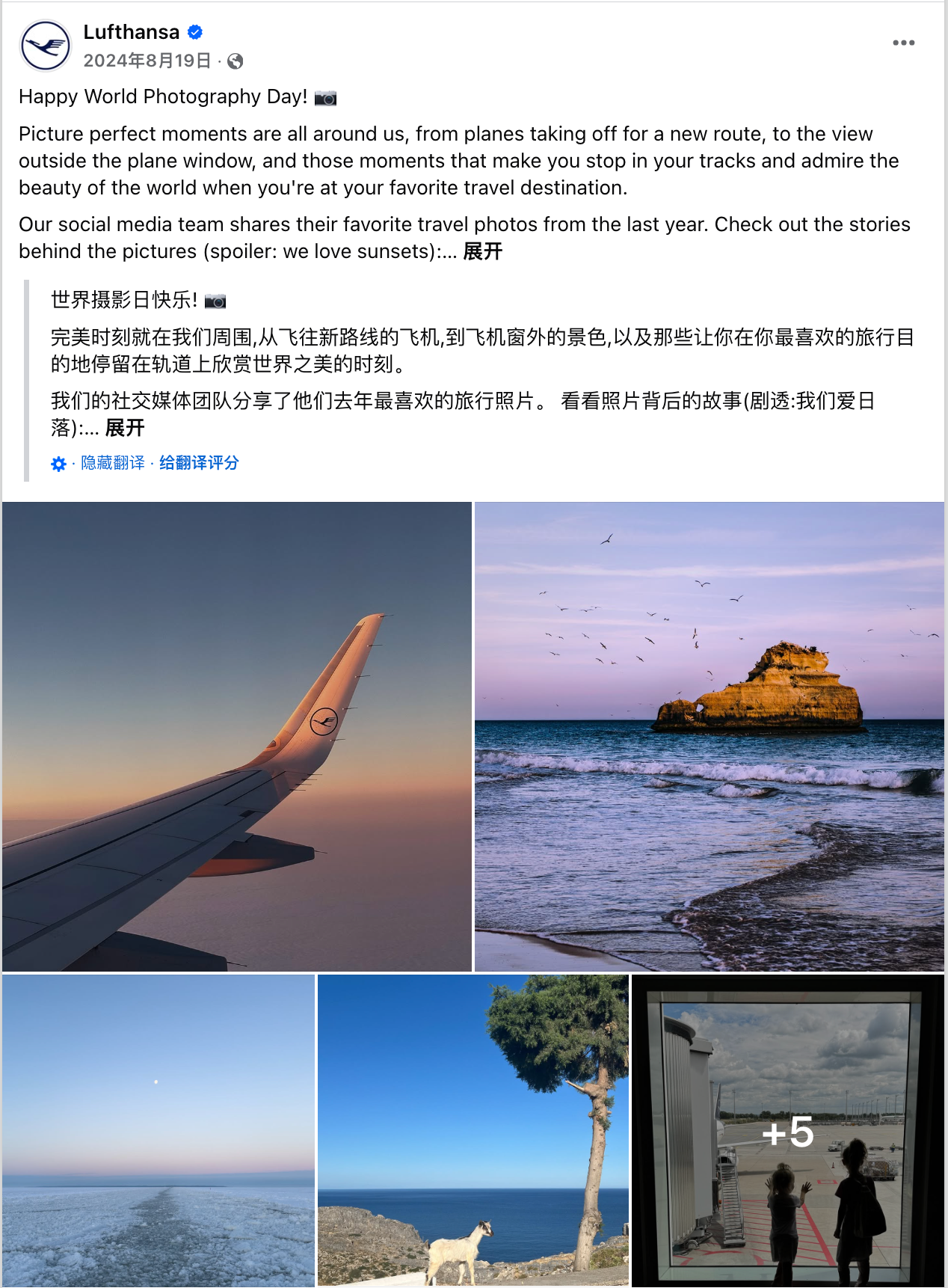 8月海外营销日历：世界摄影日，国际青年日，科隆国际游戏展，国际狗狗日，国际猫咪日，世界运动会...