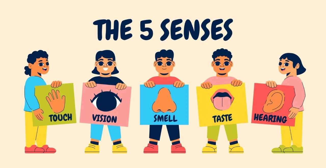 为什么你的独立站转化率上不去？试试这套五感体验增长全攻略